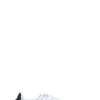 ADIDAS - SAMBAE W