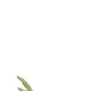 COUTURE Slingback donna verde in pelle