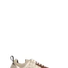 POLLINI
