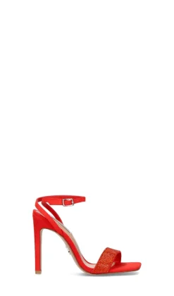 STEVE MADDEN