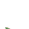VICENZA Ciabatta donna verde in pelle